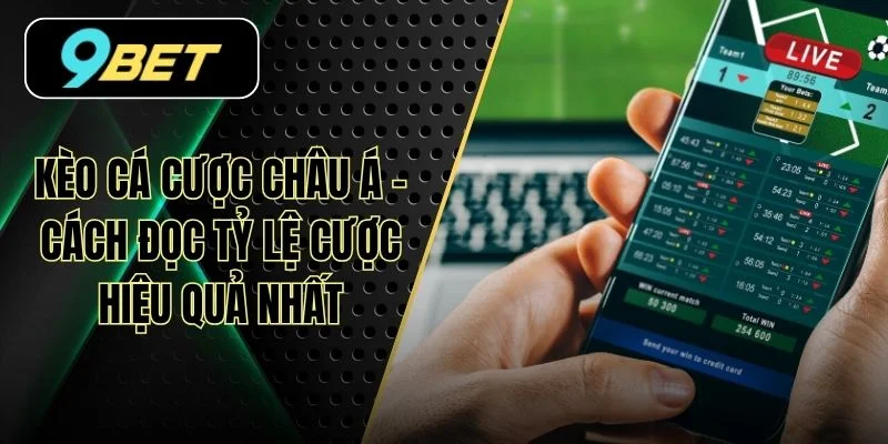 Kèo Cá Cược Châu Á - Cách Đọc Tỷ Lệ Cược Hiệu Quả Nhất